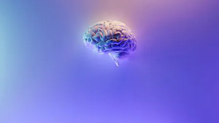 🧠 Sharpen your thinking with a second brain